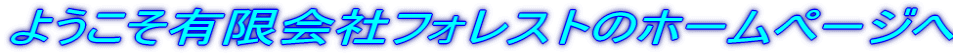 悤ЃtHXg̃z[y[W
